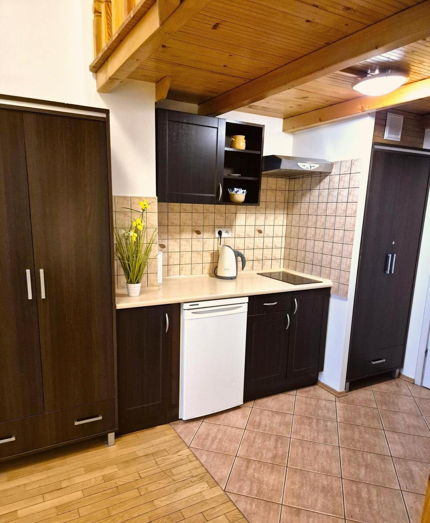 Safona - Pantheon Apartments Krakow Bagian luar foto